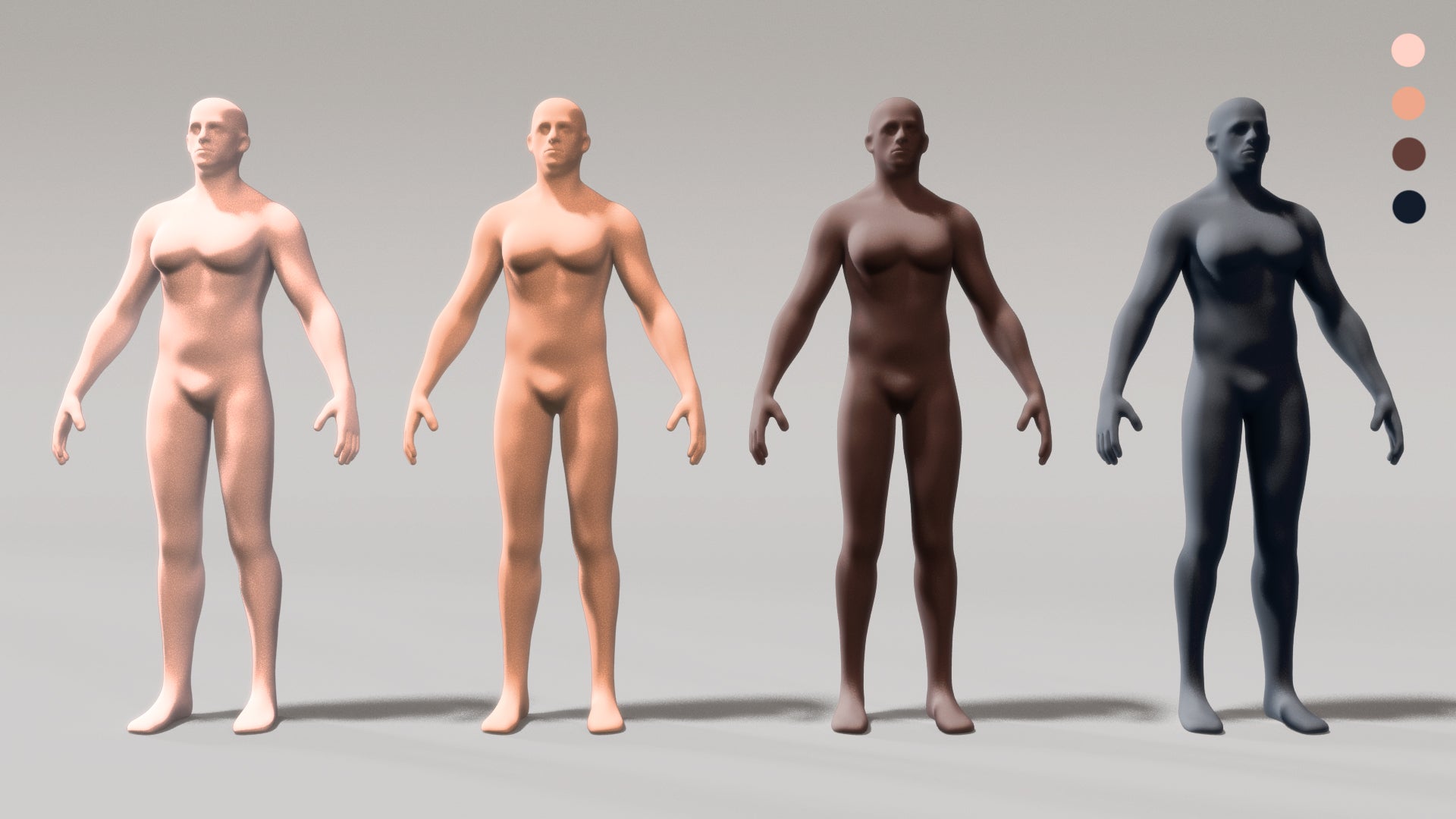 3D Body Maps for Procreate